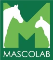 logo mascolab