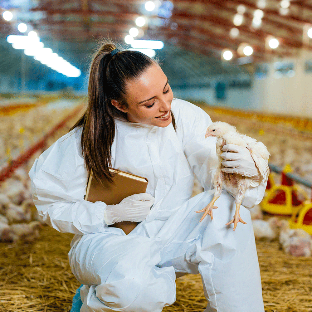 Curso Caso Clínico en Animales de Producción