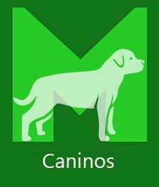 canino